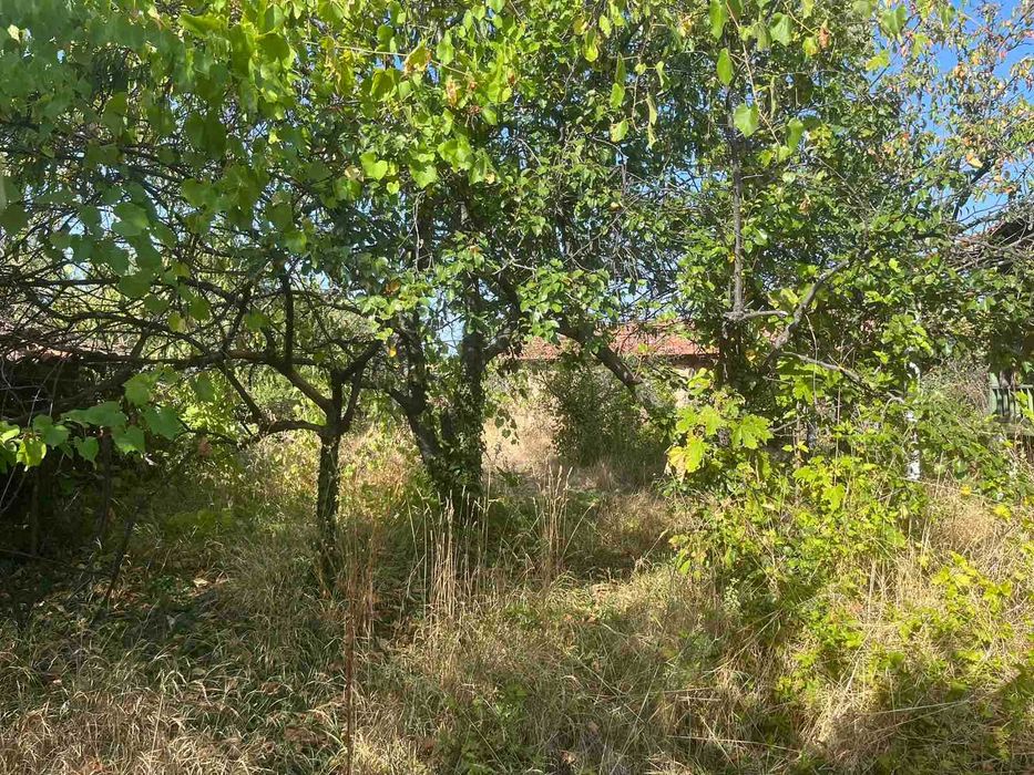 Продава се Къща в с. Столетово, Област Пловдив - 40 кв.м за 370 €/кв.м - Снимка #8