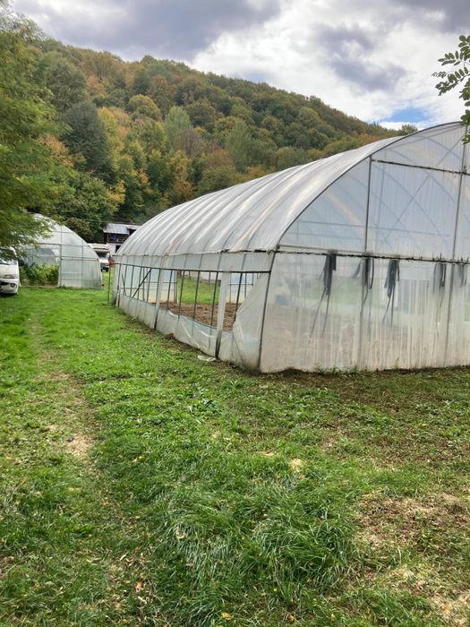 De vanzare teren Telega