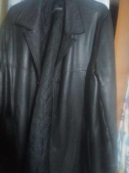 Scurta piele