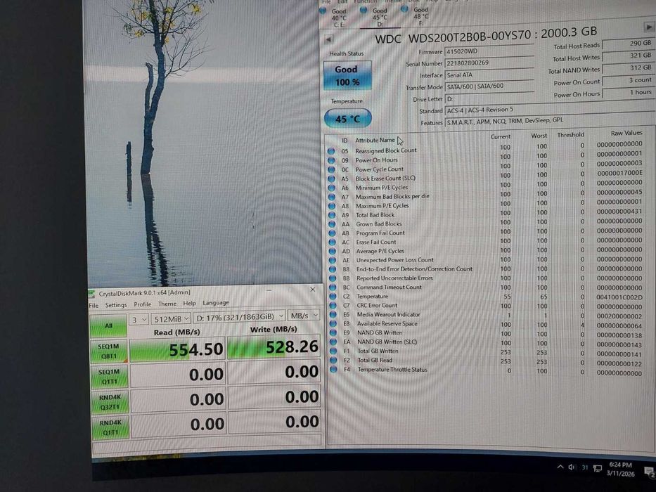 2TB M.2 SATA SSD Western Digital Blue