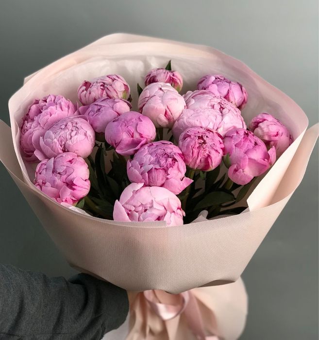 Пионы пионы пионы