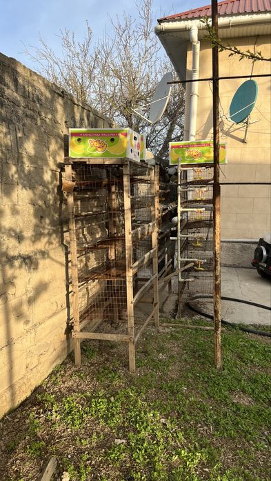 Клетки для перепелы, бодене сактауга тор