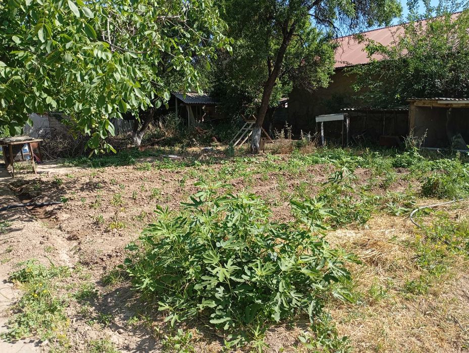 Hovli uchaska Toshkent vil. Bustonliq tum.Dumaloq qishlogi