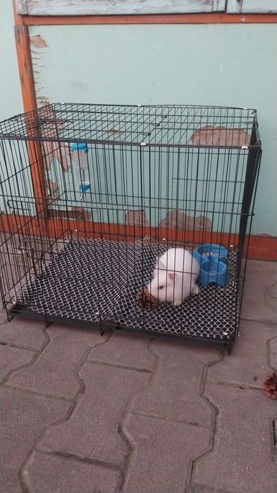 Продам Клетку для кроликов