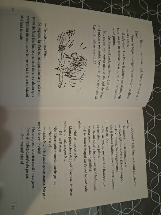 Nic Nastrusnic - carte pentru copii