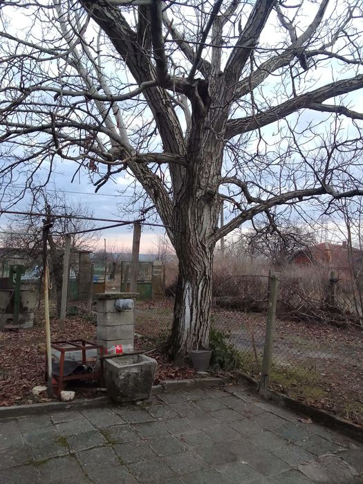 Двуетажна тухлена къща с двор 2.5 дка, кладенец, гараж – с. Трояново