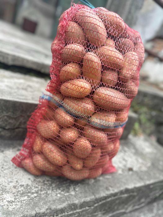 Vand cartofi albi mari