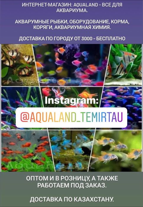 Артемия сублимированная, 10 гр.