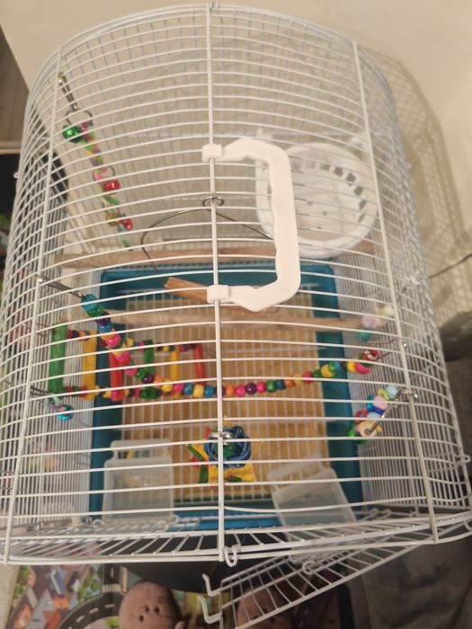 Colivie complet echipata peruși papagali