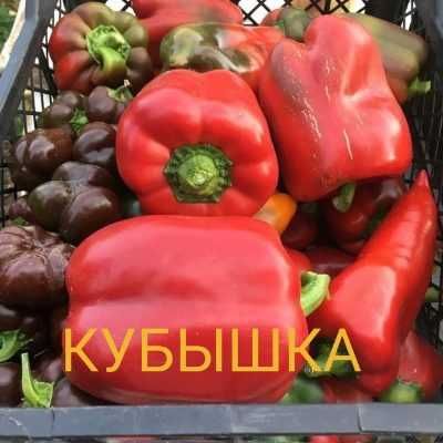 Перец, томаты, баклажаны