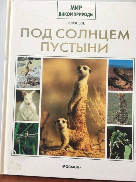 Под солнцем пустыни