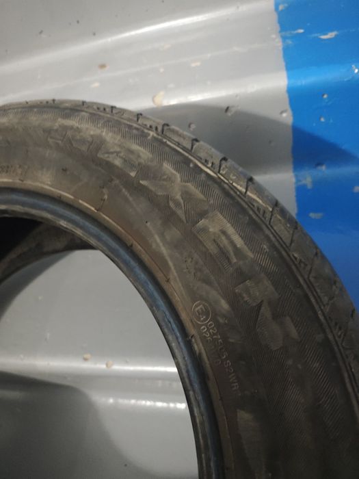 Летние шины Nexen