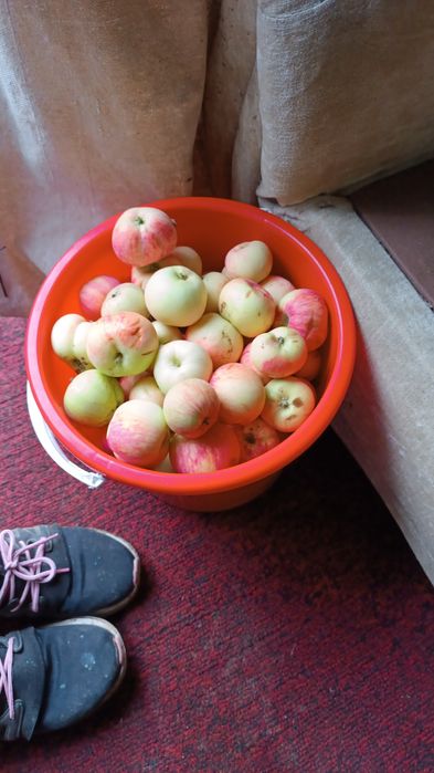 Продам дачу на медь заводе