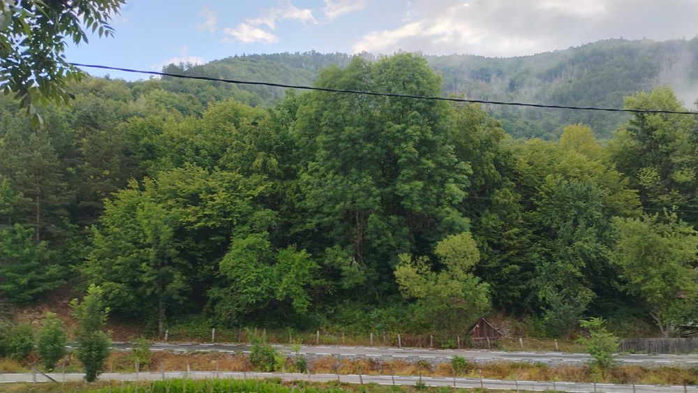 Casa de caramida la rosu, 3765mp teren intravilan, Valea Ariesului, AB