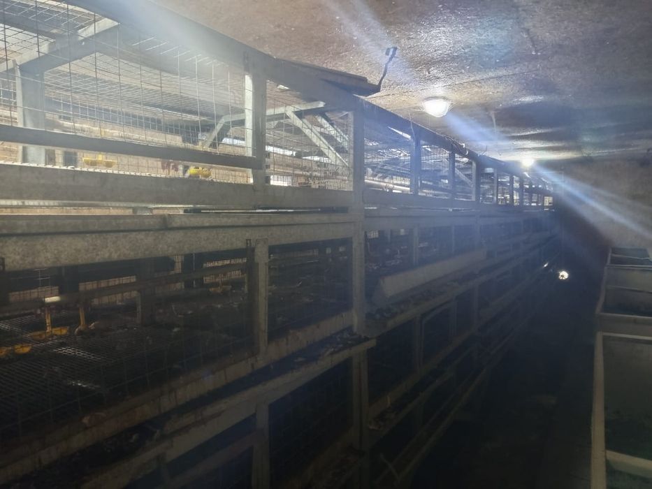 Клетки для содержания