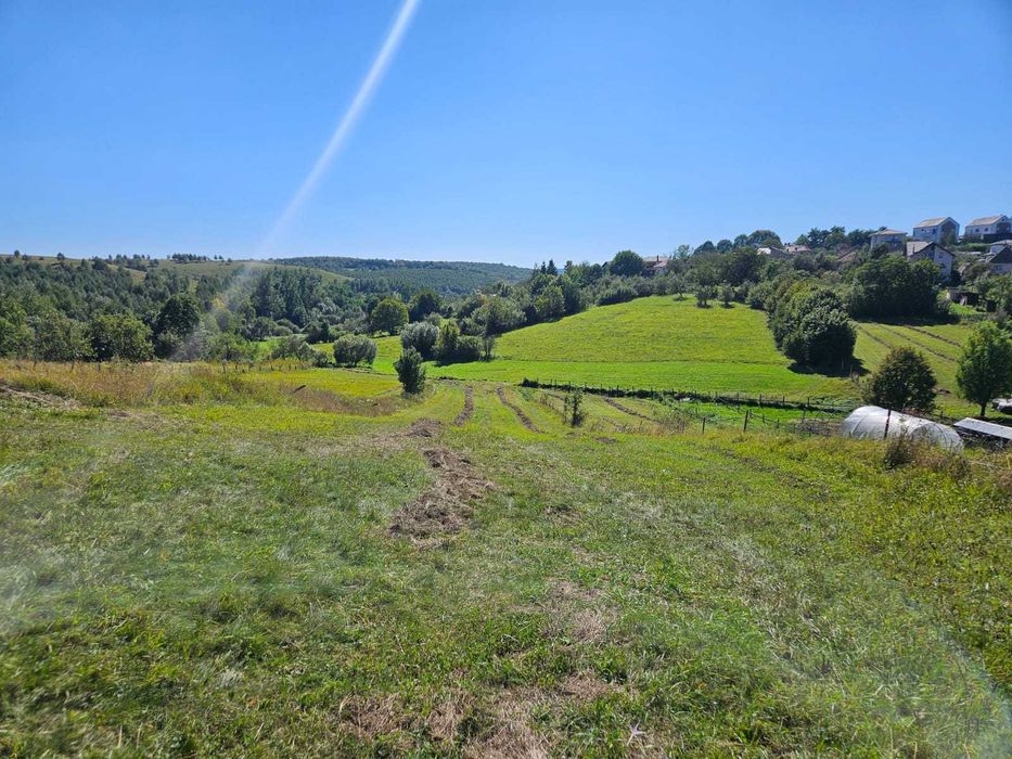 P.F vand teren 2915 mp in Feleacu cu autorizatie de contructie duplex