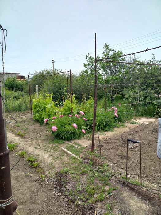 Продаётся дачный участок