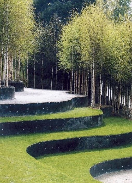 Газон уриш хизмати арча ва шамшот изгиридларга шакил бериш