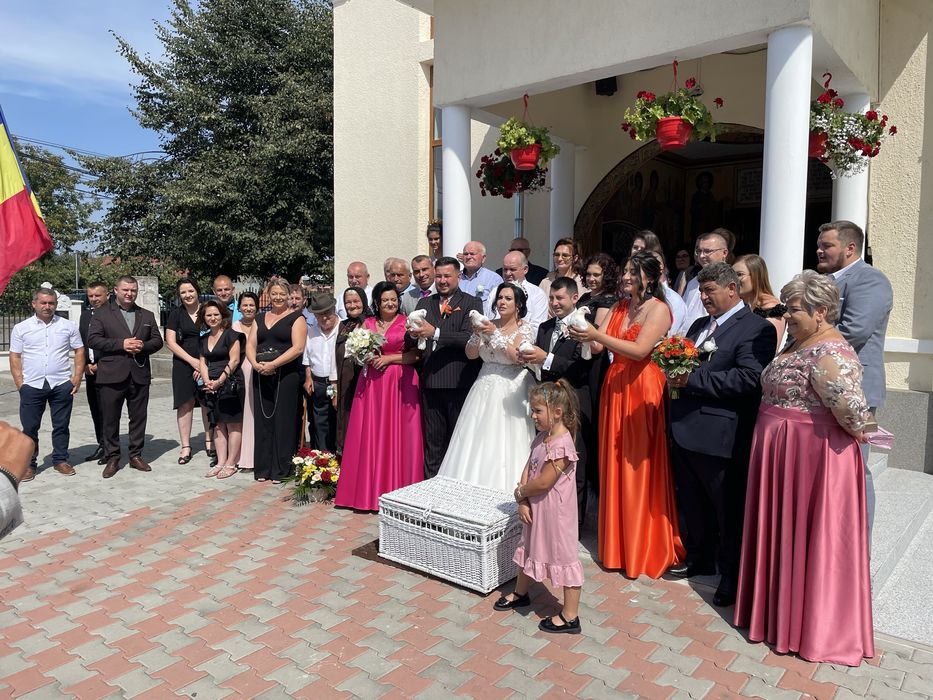 Porumbei albi pentru evenimente!