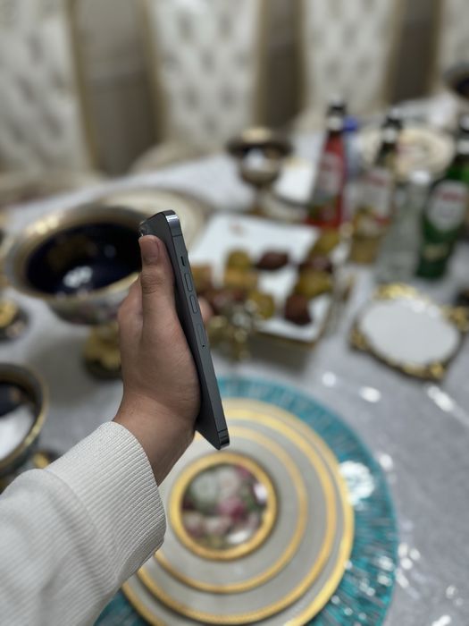 Iphone 13 pro max idael