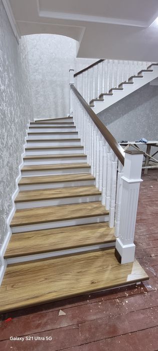 Лесниса zina xarxil turda