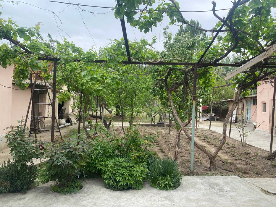 Hovli. Uchastka. Участка