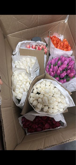 Свежие тюльпаны Шымкент продаются пачками