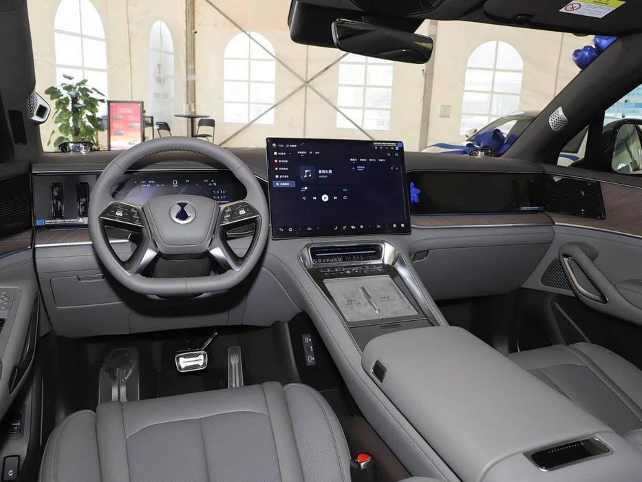 Denza N9 фулл в наличии