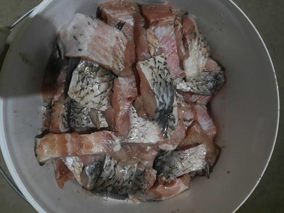 Рыба сазан свежий