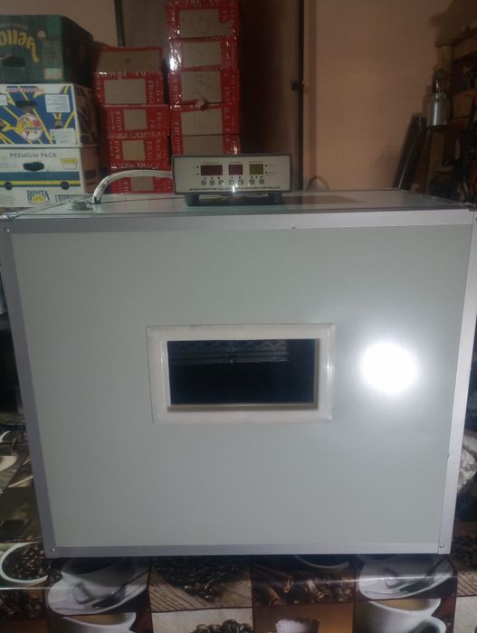 Clocitoare 300  ouă