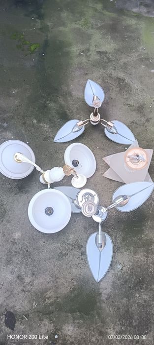 Lyustrala sotaman xamasiga 100.000 so'm