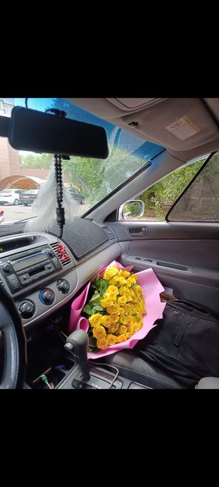 Продам шторки Камри 30 - 35