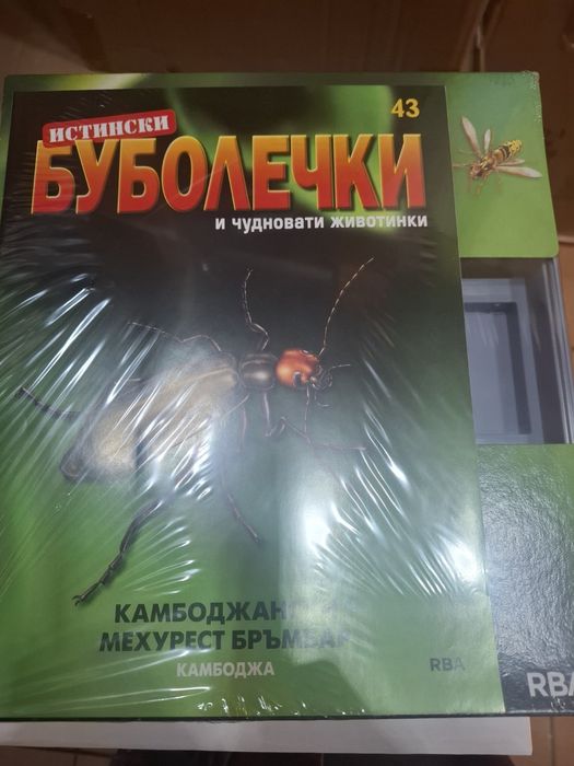 Списание Буболечки