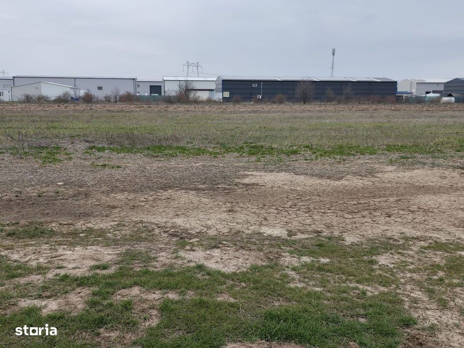 Fara Comisioane Loturi Teren Constructii Hale In Zona De Hale Merita V