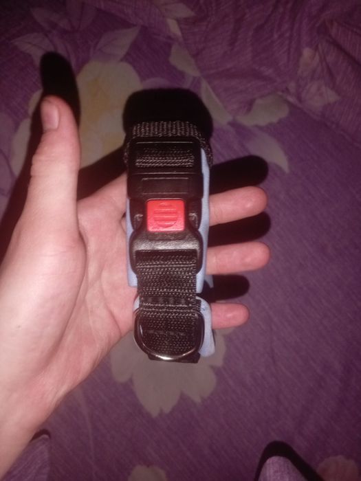 Ошейник для собак