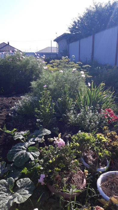 Участок земли в городе