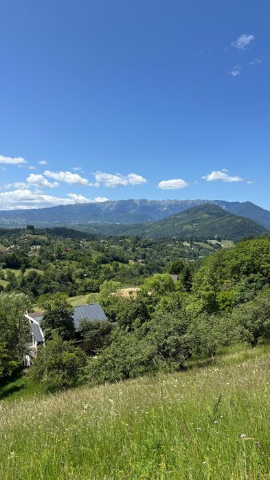 Vând teren în Bran-Sohodol