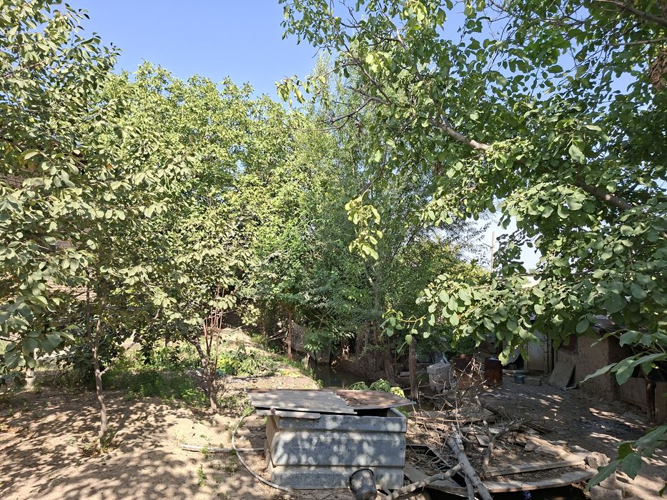 Nazarbek Gulbahor mahalla