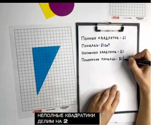 Палетки для измерения площади А4, A6