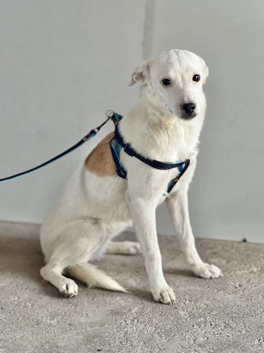 Принцесса Татка ждет своих мам-пап!