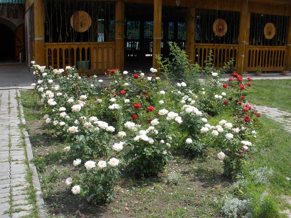 Сдам в аренду ресторан