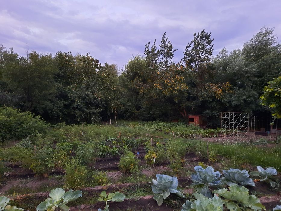 Продам дачу в черте города.