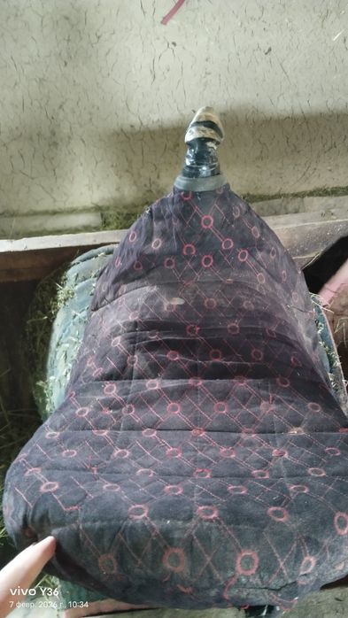 Қазақы ер минус басы сәл қисық болды