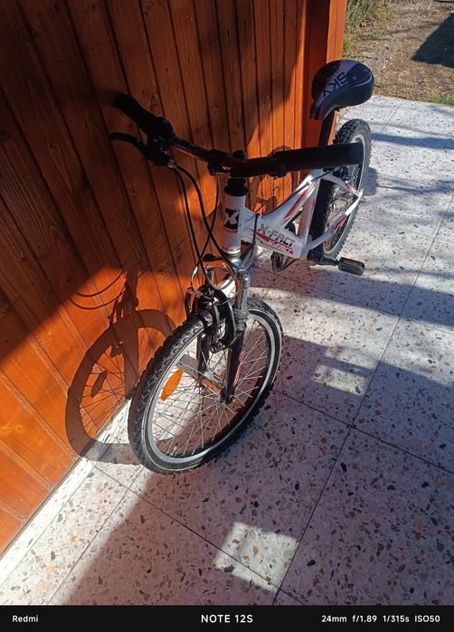 Biciclete copii 20'