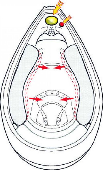 Мотокрос Каска за мотор  SCORPION VX-16 EVO AIR SLANTER 2025 NEW