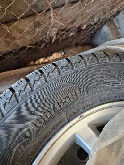 Balon diskasi bn 14 razmer