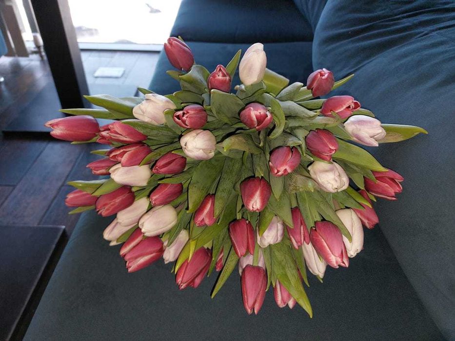 Тюльпаны  местные