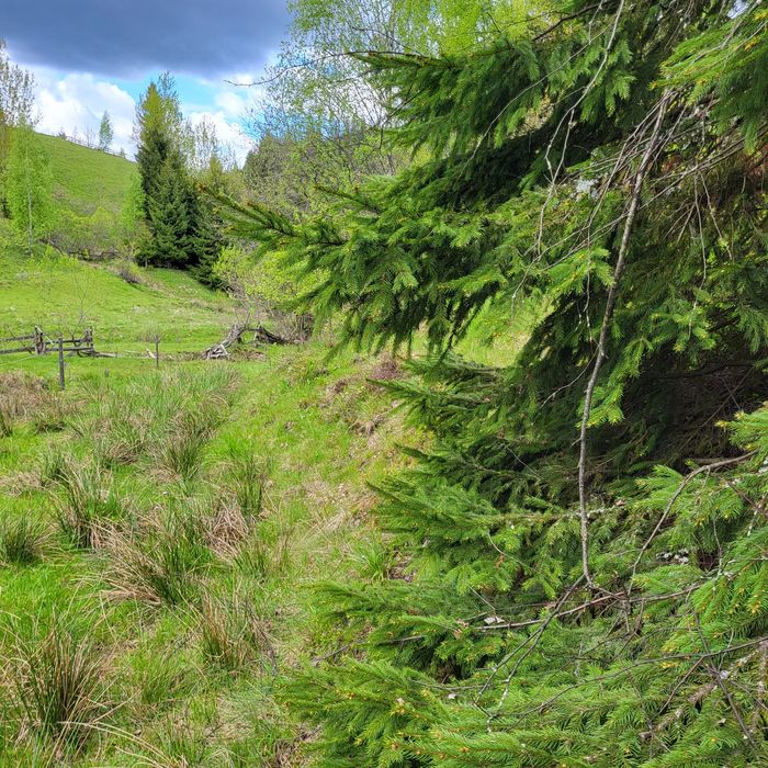 Teren intravilan de cabană la munte