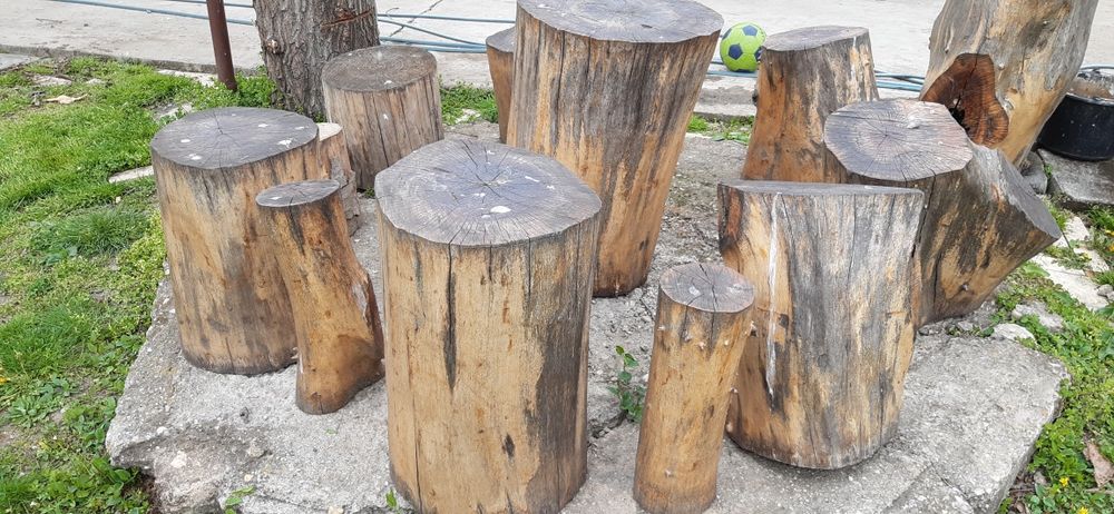 Trunchi (Butuci) din Nuc
