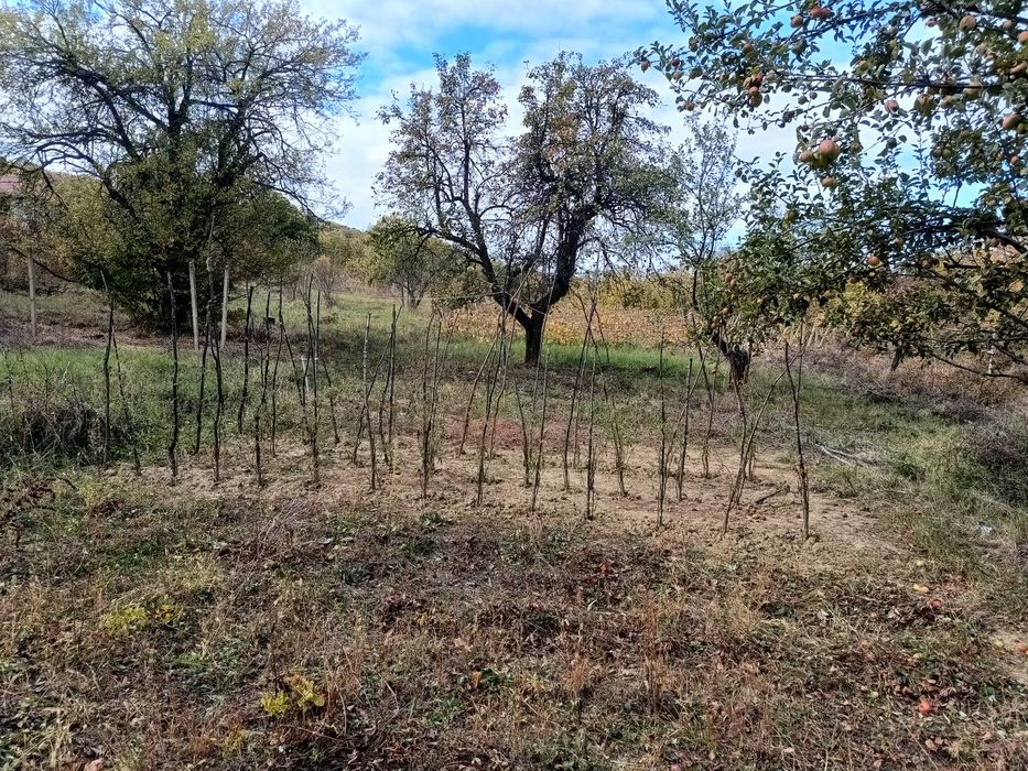 Продава се Къща в Враца, Вежен - 100 кв.м за 128 €/кв.м - Снимка #4